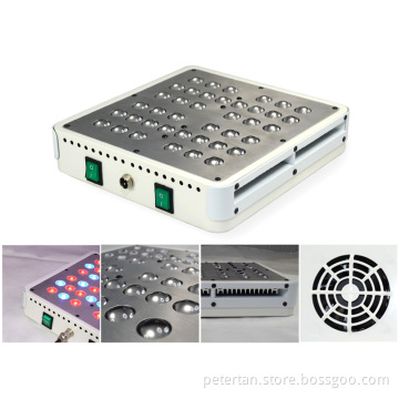 New 5W Apollo4 led grow light
